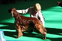 Crufts2011 084